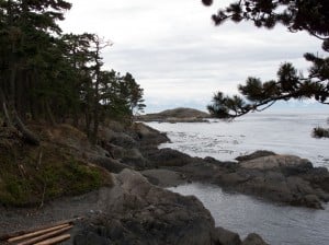 shark-reef-park-lopez-island-wa
