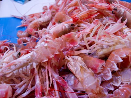 Douarnenez-Market