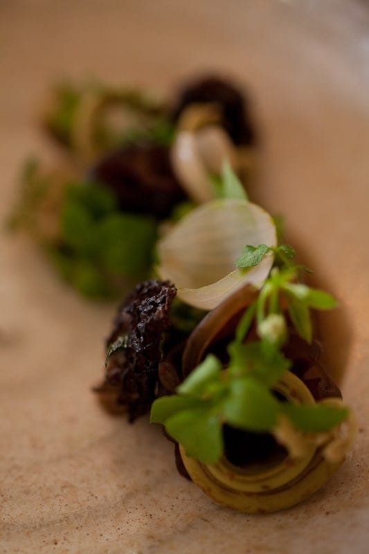Organic grains with pickled mushrooms Organic grains with pickled mushrooms