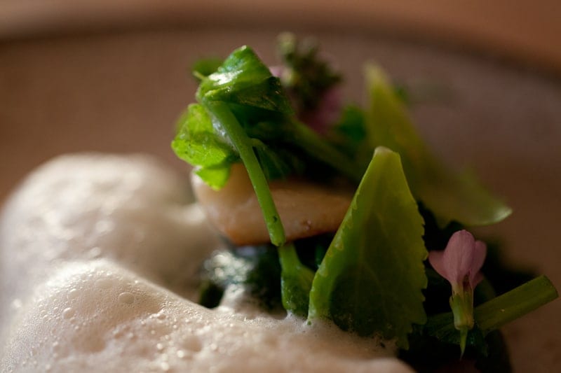 Quinault razor clams with wild beach peas Quinault razor clams with wild beach peas