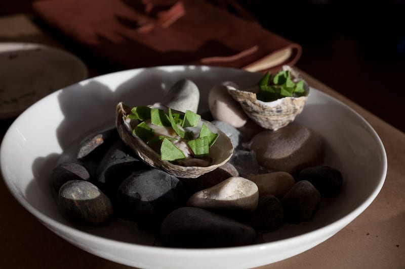 Pickled oyster with sorrel Pickled oyster with sorrel