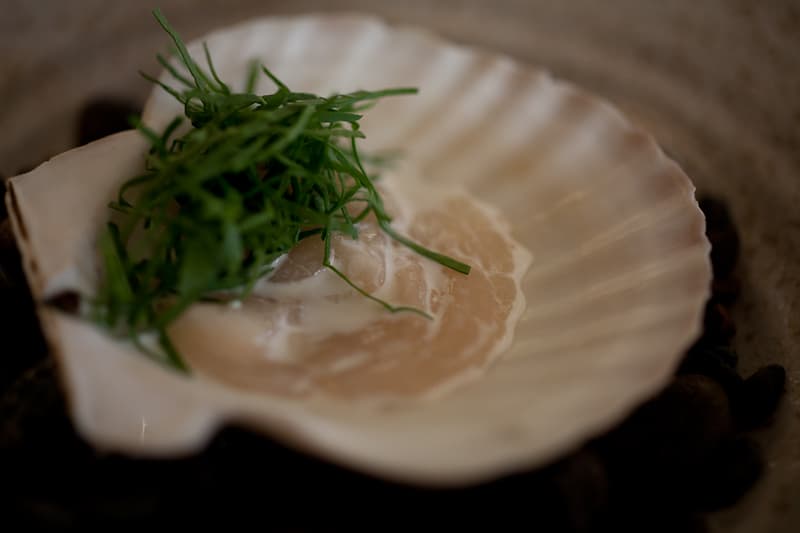 Fanny Bay scallop with arugula Fanny Bay scallop with arugula