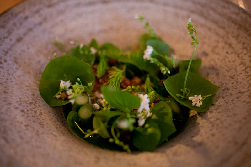 Nettles Farm asparagus with fresh cheese and pine Nettles Farm asparagus with fresh cheese and pine