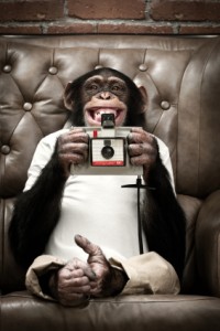 Misadventures in Macro Photography