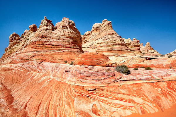 Cottonwood Canyon in Coyote Buttes South Arizona Cottonwood Canyon in Coyote Buttes South Arizona