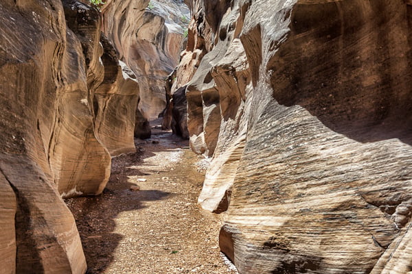 Slot river area off the Willis Creek Trailhead Slot river area off the Willis Creek Trailhead