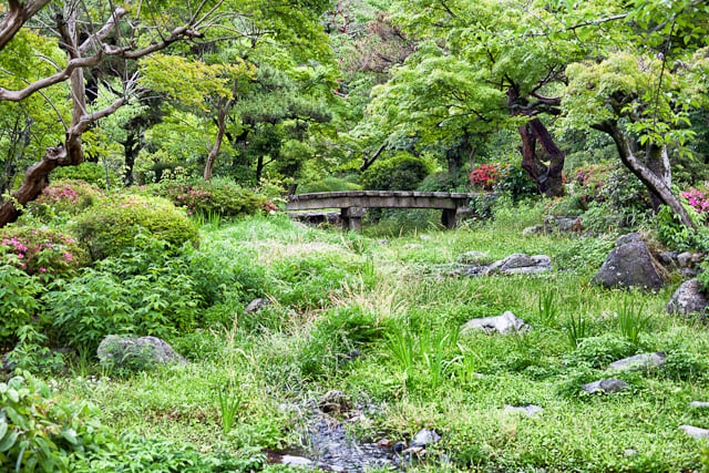 Green in the Todaiji Temple Green in the Todaiji Temple